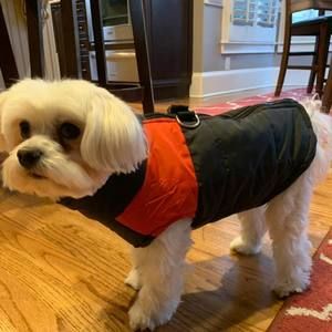 Meet your Posher, Tania